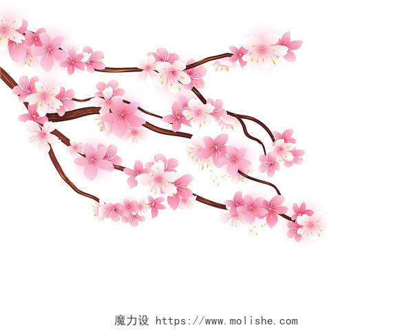 粉色手绘卡通樱花树枝花枝赏樱花节元素PNG素材